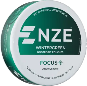 NZE Wintergreen Focus Nootropic Pouches – 5 Pack — nicotine-free focus pouch