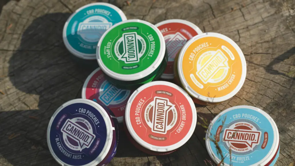 Best Nicotine-Free Focus Pouches