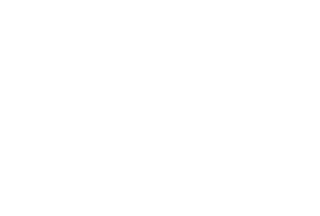WIP pouches logo